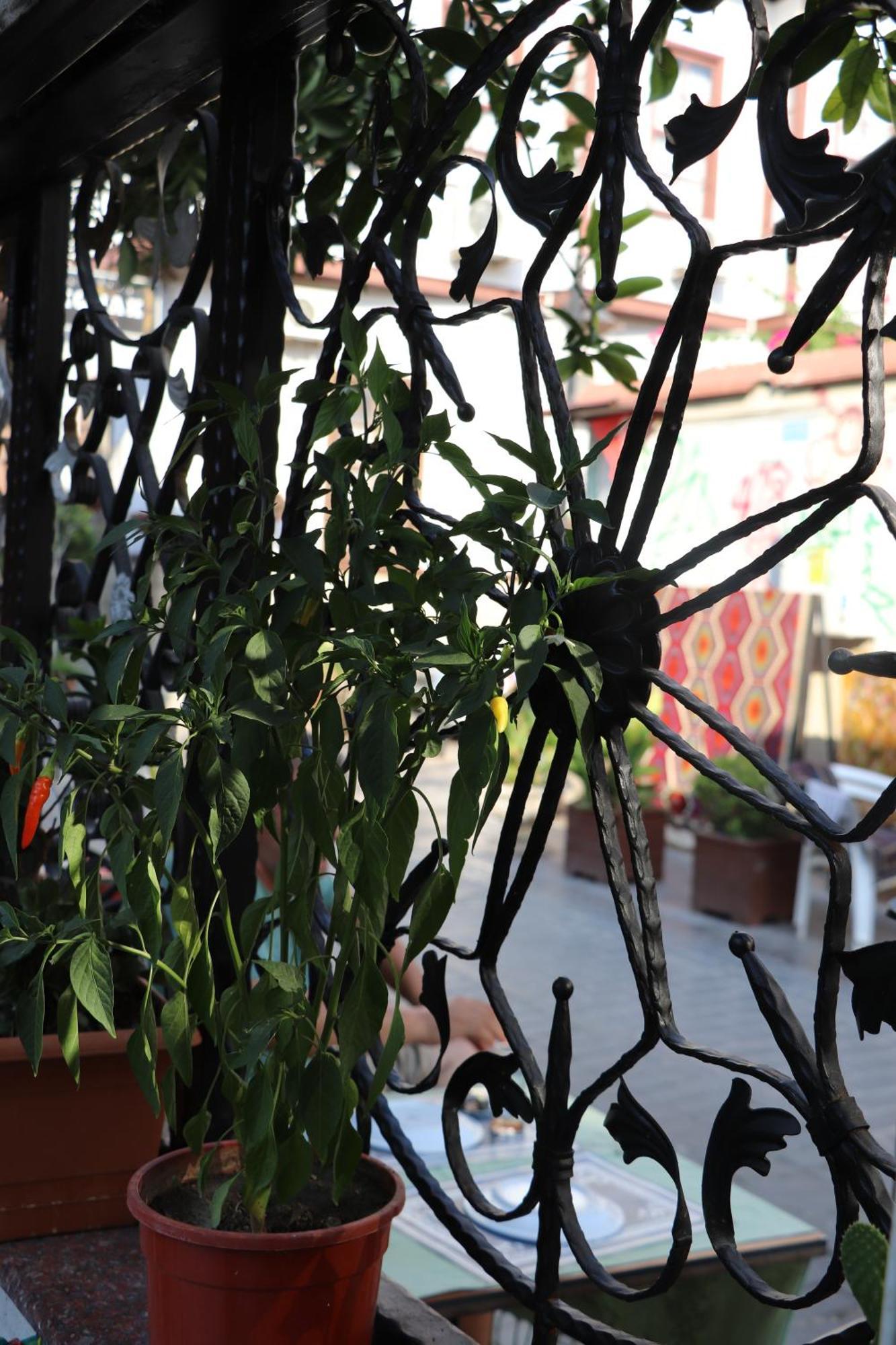 Tu Casa Linda Ξενοδοχείο Αττάλεια Εξωτερικό φωτογραφία